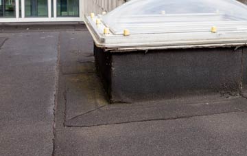 disadvantages of Parc Mawr flat roofs