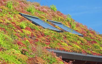 Parc Mawr living roof systems