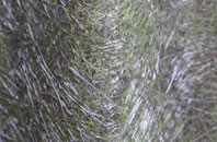 Parc Mawr fibreglass roof work